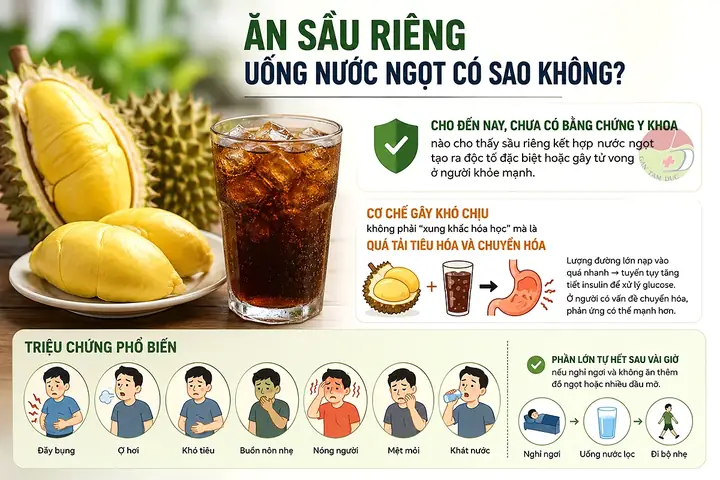 Nằm Mơ Thấy Ăn Quả Sầu Riêng Đánh Con Gì Nằm Mơ Thấy Ăn Quả Sầu Riêng Đánh Con Gì