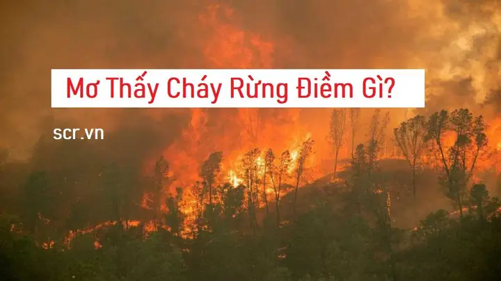 Nằm Mơ Thấy Bán Đất Đánh Con Gì Nằm Mơ Thấy Bán Đất Đánh Con Gì