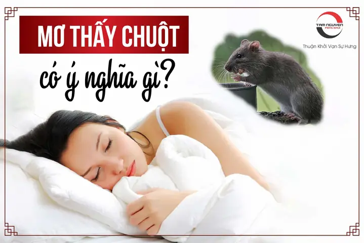 Nằm Mơ Thấy Bắt Chuột Đánh Số May Nằm Mơ Thấy Bắt Chuột Đánh Số May