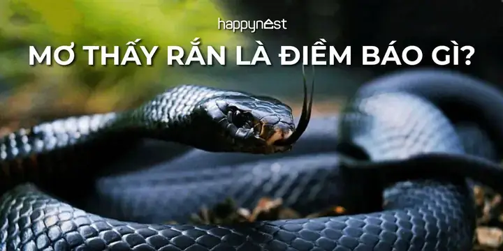 Nằm Mơ Thấy Bắt Được Rắn Là Điềm Báo Gì