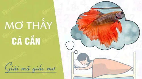 Nằm Mơ Thấy Cá Cắn Tay Đánh De Con Gì