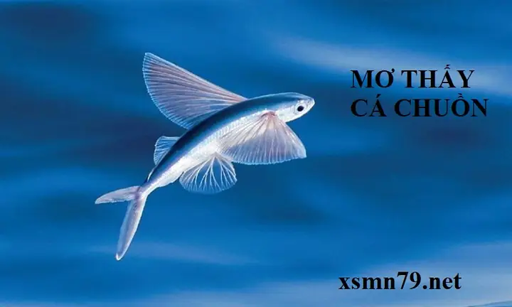 Nằm Mơ Thấy Cá Nhảy Lên Bờ Đánh Con Gì