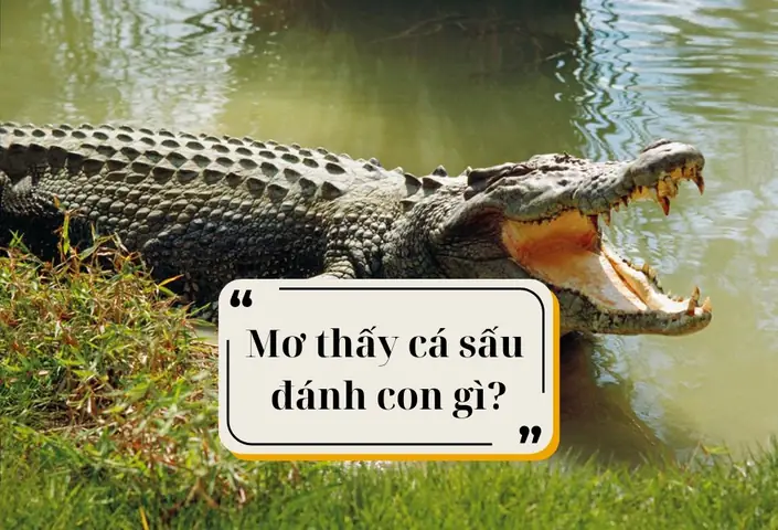 Nằm Mơ Thấy Cá Sấu Cắn Người Khác