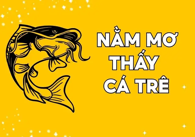Nằm Mơ Thấy Cá Trê Đánh Số May Nằm Mơ Thấy Cá Trê Đánh Số May