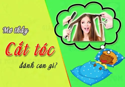 Nằm Mơ Thấy Cắt Tóc Đánh Đề Số May Nằm Mơ Thấy Cắt Tóc Đánh Đề Số May