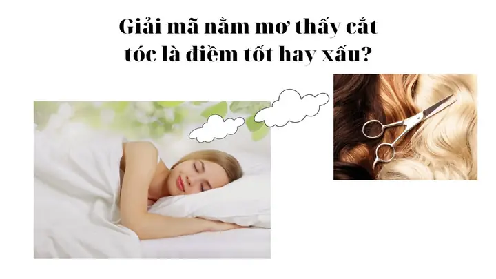 Nằm Mơ Thấy Cắt Tóc Hên Hay Xui Nằm Mơ Thấy Cắt Tóc Hên Hay Xui