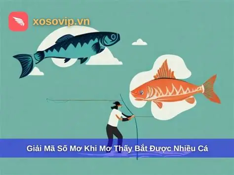 Nằm Mơ Thấy Câu Được Nhiều Cá Đánh Con Gì Nằm Mơ Thấy Câu Được Nhiều Cá Đánh Con Gì