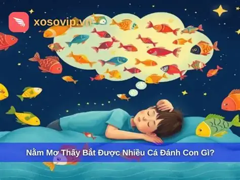 Nằm Mơ Thấy Câu Được Nhiều Cá Đánh Con Gì