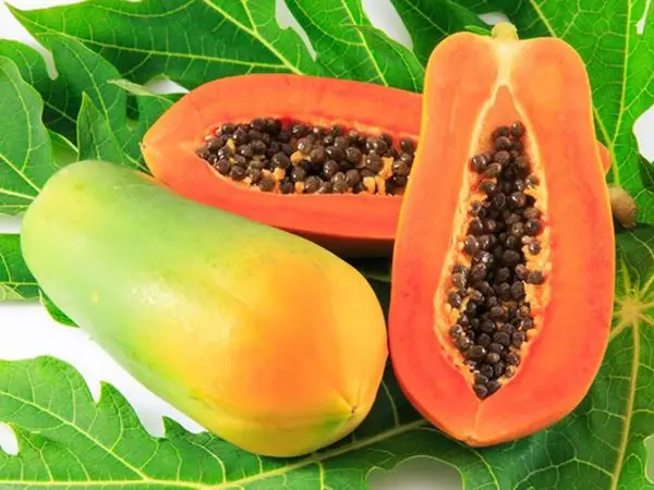 Nằm Mơ Thấy Cây Đu Đủ Nhiều Quả