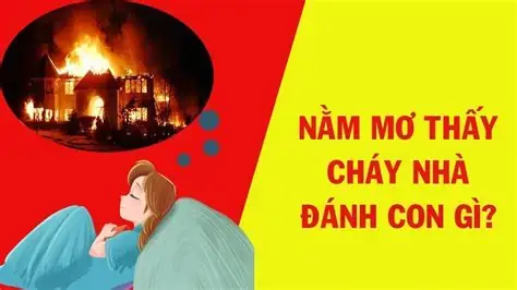 Nằm Mơ Thấy Cháy Nhà Đánh De Con Gì