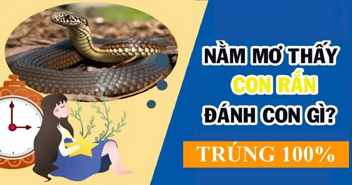 Nằm Mơ Thấy Chó Cắn Đánh Số May