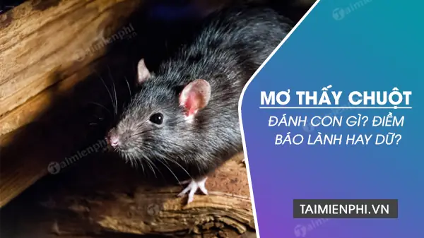 Nằm Mơ Thấy Chuột Cắn Tay Đánh Con Gì