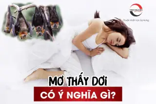 Nằm Mơ Thấy Con Dơi Đánh Số Gì