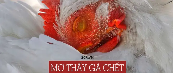Nằm Mơ Thấy Con Nai Đánh Số Gì