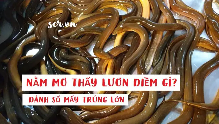 Nằm Mơ Thấy Con Nai Đánh Số Gì