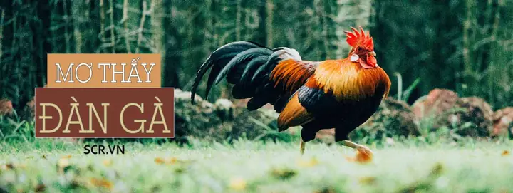 Nằm Mơ Thấy Con Nai Đánh Số Gì