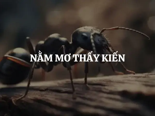 Nằm Mơ Thấy Côn Trùng Bò Lên Người Nằm Mơ Thấy Côn Trùng Bò Lên Người