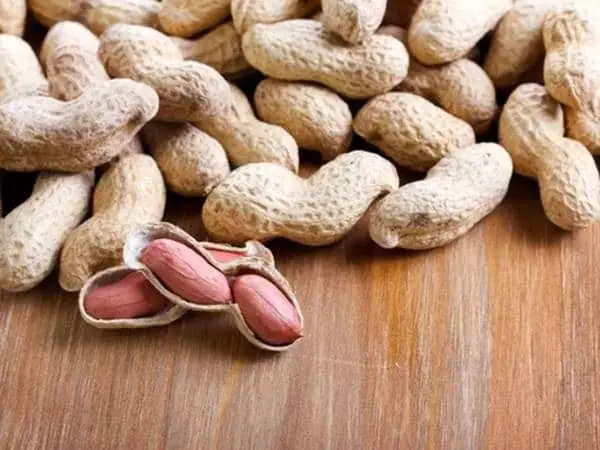 Nằm Mơ Thấy Củ Lạc Đánh Con Gì Nằm Mơ Thấy Củ Lạc Đánh Con Gì