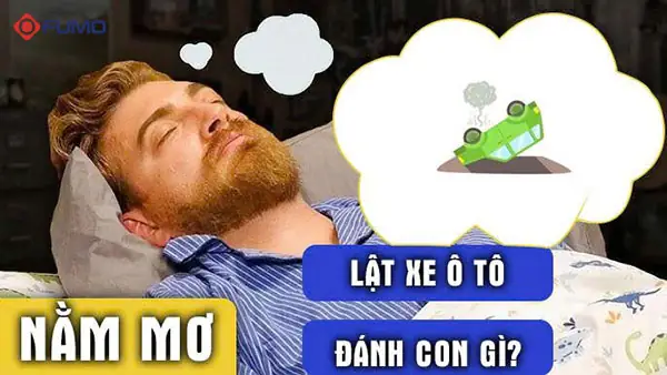 Nằm Mơ Thấy Củ Lạc Đánh Con Gì
