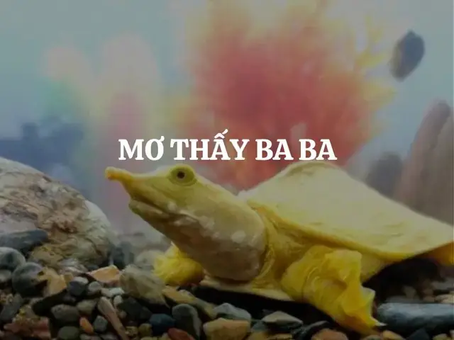 Nằm Mơ Thấy Đàn Bà Đánh Số Gì Nằm Mơ Thấy Đàn Bà Đánh Số Gì