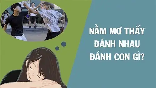 Nằm Mơ Thấy Đánh Nhau Đánh Số May