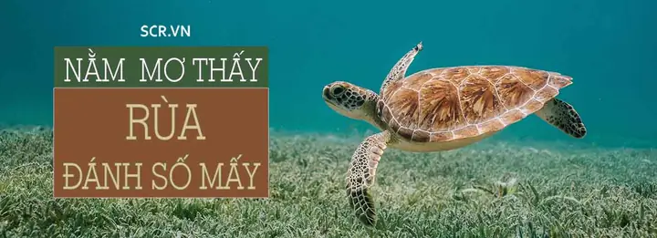 Nằm Mơ Thấy Đào Đất Đánh Đề Con Gì