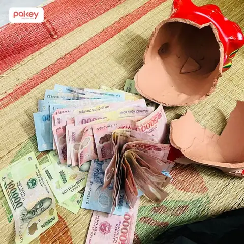 Nằm Mơ Thấy Đập Heo Đất Lấy Tiền Nằm Mơ Thấy Đập Heo Đất Lấy Tiền