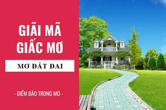 Nằm Mơ Thấy Đất Đai Đánh Số Gì Nằm Mơ Thấy Đất Đai Đánh Số Gì