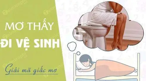 Nằm Mơ Thấy Đi Ỉa Đánh Số Gì