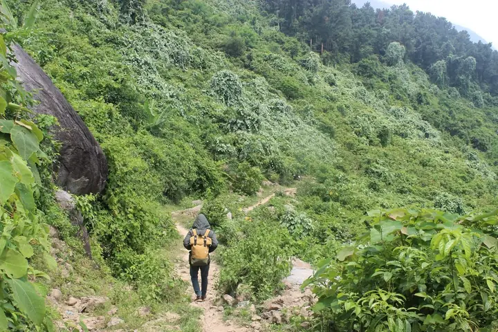 Nằm Mơ Thấy Đi Lạc Vào Rừng Đánh Số May Nằm Mơ Thấy Đi Lạc Vào Rừng Đánh Số May