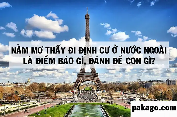 Nằm Mơ Thấy Đi Nước Ngoài Làm Việc Nằm Mơ Thấy Đi Nước Ngoài Làm Việc
