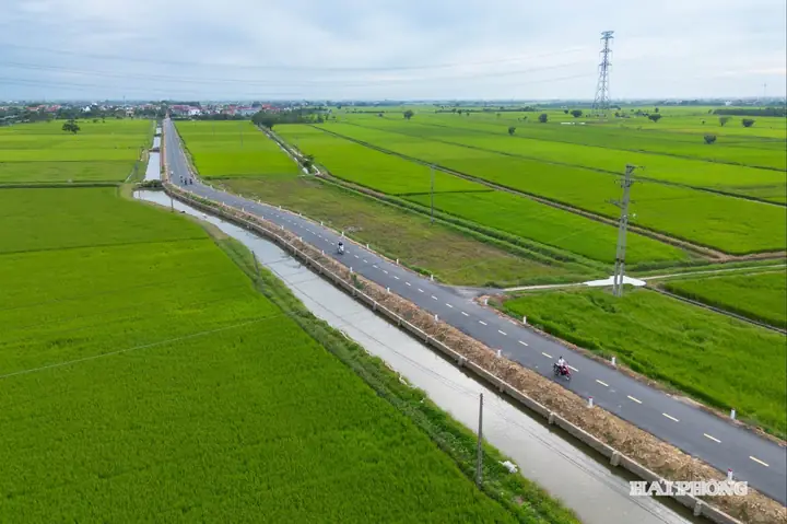 Nằm Mơ Thấy Đi Trên Con Đường Lầy Lội Nằm Mơ Thấy Đi Trên Con Đường Lầy Lội