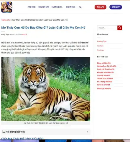 Nằm Mơ Thấy Đọc Kinh Đánh Số May