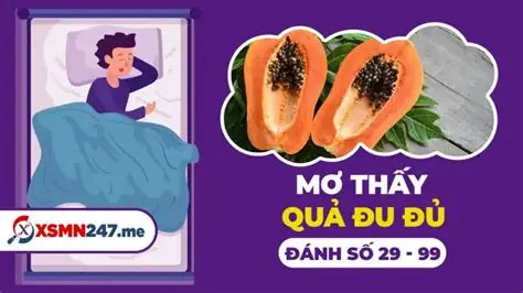 Nằm Mơ Thấy Đu Đủ Chín Đánh Số Gì Nằm Mơ Thấy Đu Đủ Chín Đánh Số Gì