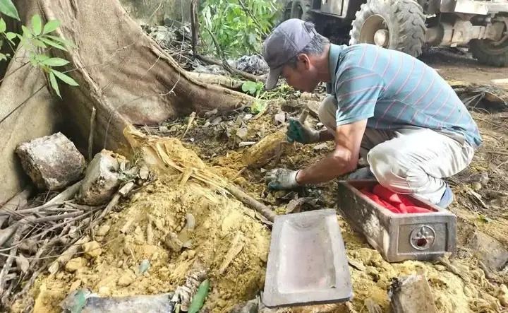 Nằm Mơ Thấy Hài Cốt Đánh Con Gì Nằm Mơ Thấy Hài Cốt Đánh Con Gì