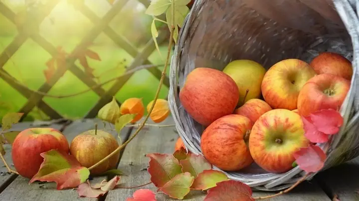Nằm Mơ Thấy Hái Trái Cây Chín Ăn