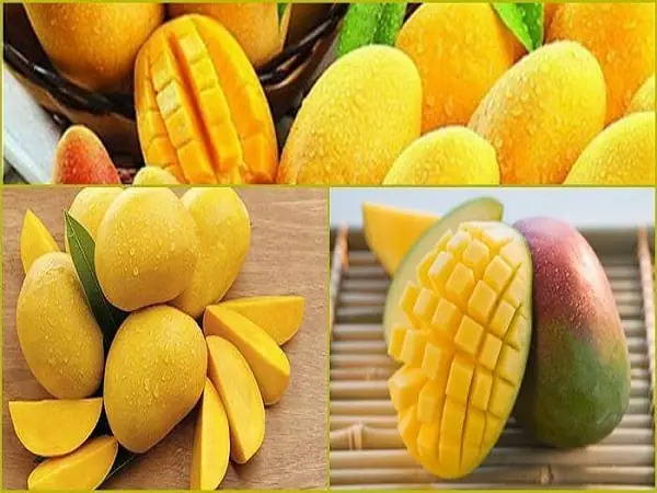Nằm Mơ Thấy Hái Trái Cây Chín Ăn
