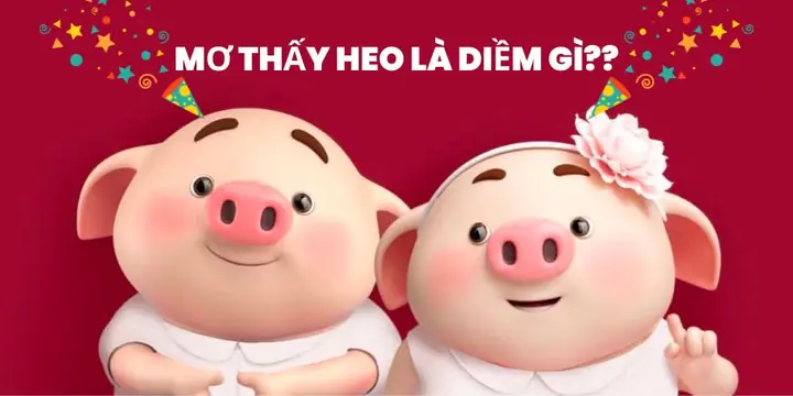 Nằm Mơ Thấy Heo Đẻ Đánh Số Gì Nằm Mơ Thấy Heo Đẻ Đánh Số Gì