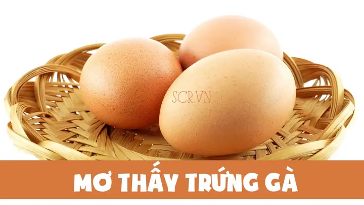 Nằm Mơ Thấy Lòng Lợn Đánh Đề Con Gì