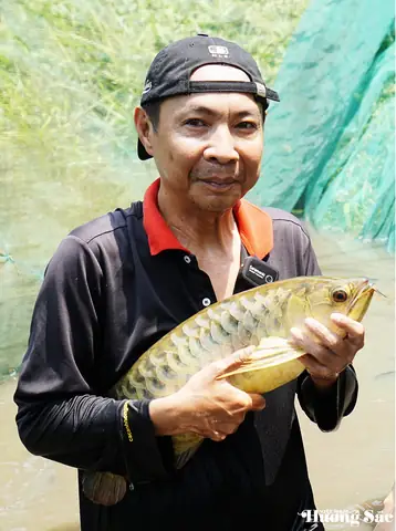 Nằm Mơ Thấy Lưỡi Câu Là Số Gì