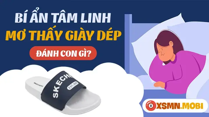 Nằm Mơ Thấy Mất Đôi Dép Đánh Số Gì