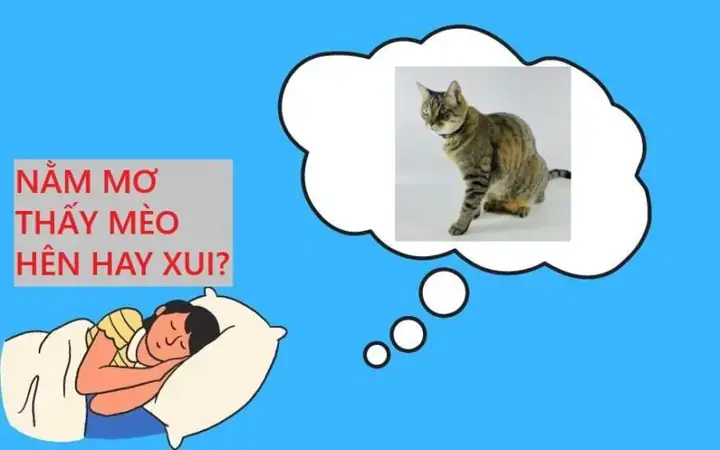 Nằm Mơ Thấy Mèo Cắn Vào Tay Đánh Con Gì