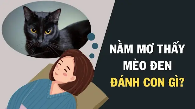 Nằm Mơ Thấy Mèo Đen Đánh Số May