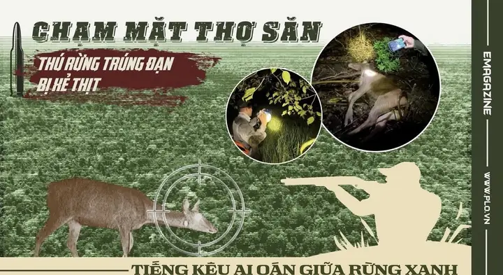 Nằm Mơ Thấy Mình Bị Bắn Trúng Đạn