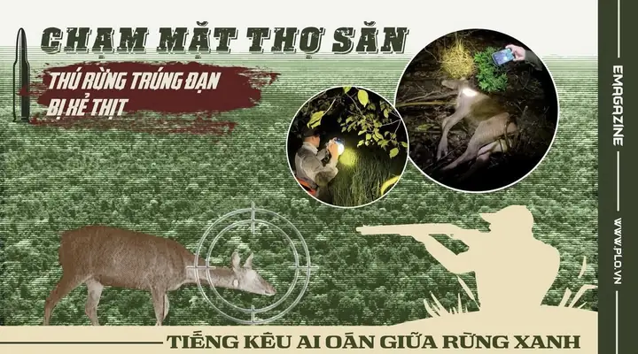 Nằm Mơ Thấy Mình Bị Bắn Trúng Đạn