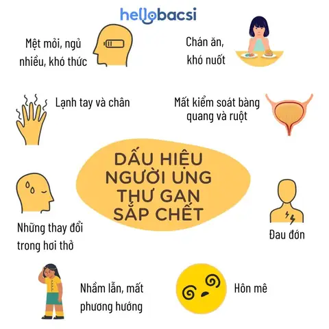 Nằm Mơ Thấy Mình Bị Ung Thư Sắp Chết Nằm Mơ Thấy Mình Bị Ung Thư Sắp Chết
