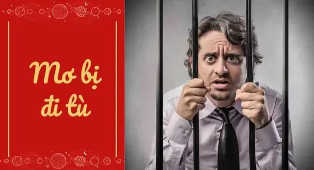 Nằm Mơ Thấy Mình Đi Tù Đánh Đề Con Gì Nằm Mơ Thấy Mình Đi Tù Đánh Đề Con Gì