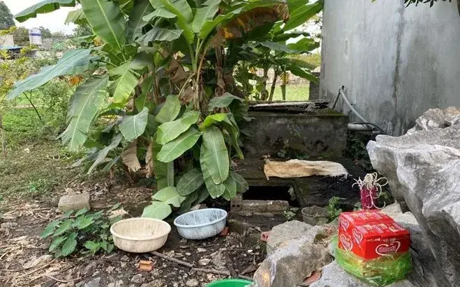 Nằm Mơ Thấy Mình Giết Người Giấu Xác Nằm Mơ Thấy Mình Giết Người Giấu Xác