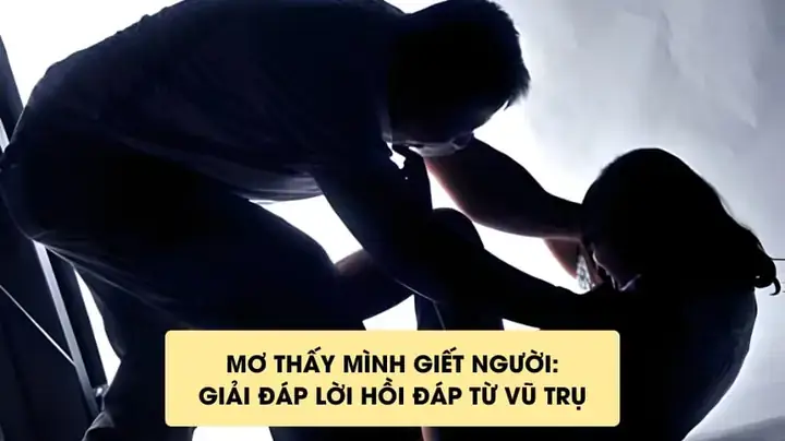 Nằm Mơ Thấy Mình Giết Người Giấu Xác Nằm Mơ Thấy Mình Giết Người Giấu Xác