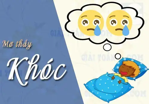 Nằm Mơ Thấy Mình Khóc Đánh De Con Gì